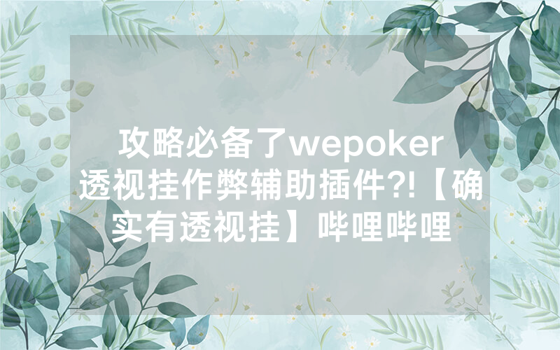 攻略必备了wepoker透视挂作弊辅助插件?!【确实有透视挂】哔哩哔哩