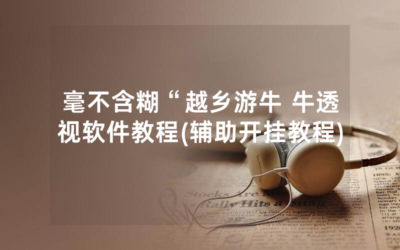 毫不含糊“越乡游牛 牛透视软件教程(辅助开挂教程)