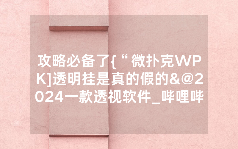 攻略必备了{“微扑克WPK]透明挂是真的假的&@2024一款透视软件_哔哩哔哩