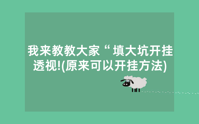 我来教教大家“填大坑开挂透视!(原来可以开挂方法)