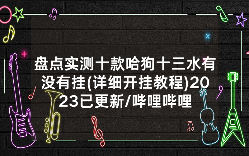 盘点实测十款哈狗十三水有没有挂(详细开挂教程)2023已更新/哔哩哔哩