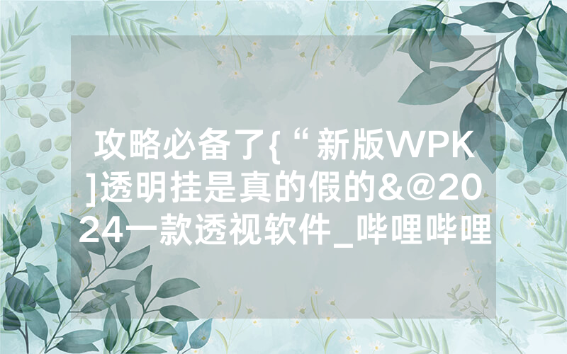 攻略必备了{“新版WPK]透明挂是真的假的&@2024一款透视软件_哔哩哔哩