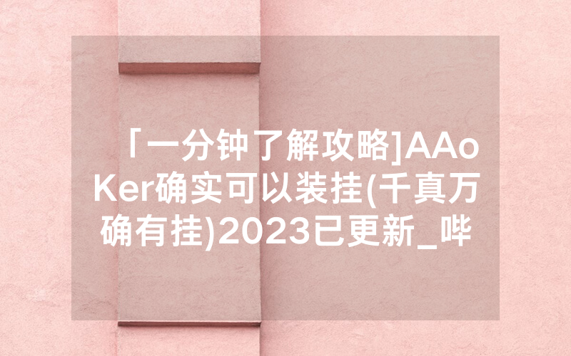 「一分钟了解攻略]AAoKer确实可以装挂(千真万确有挂)2023已更新_哔哩哔哩