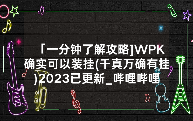 「一分钟了解攻略]WPK确实可以装挂(千真万确有挂)2023已更新_哔哩哔哩