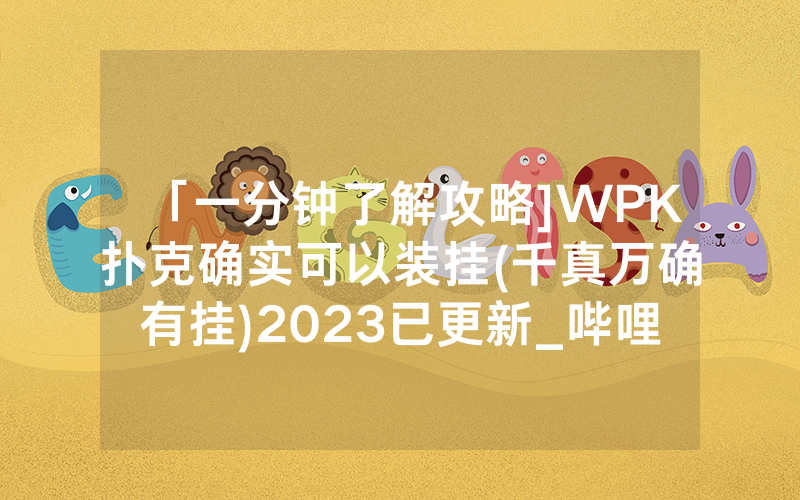 「一分钟了解攻略]WPK扑克确实可以装挂(千真万确有挂)2023已更新_哔哩哔哩