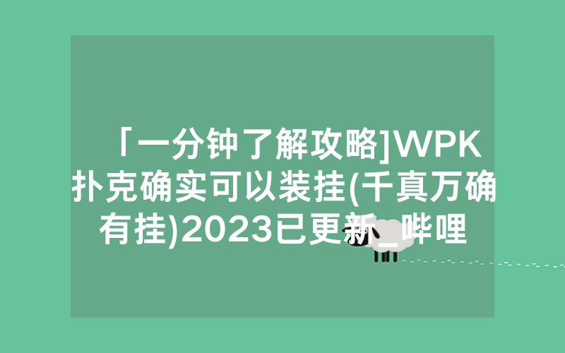 「一分钟了解攻略]WPK扑克确实可以装挂(千真万确有挂)2023已更新_哔哩哔哩