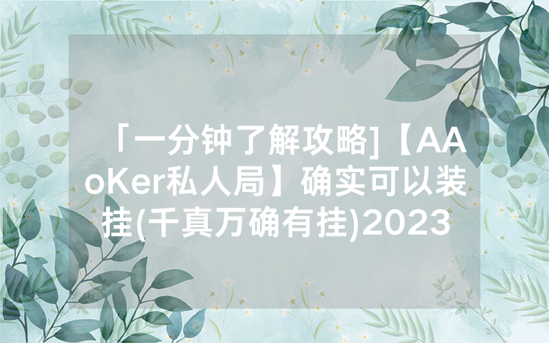 「一分钟了解攻略]【AAoKer私人局】确实可以装挂(千真万确有挂)2023已更新_哔哩哔哩