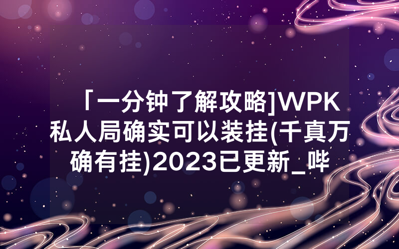 「一分钟了解攻略]WPK私人局确实可以装挂(千真万确有挂)2023已更新_哔哩哔哩