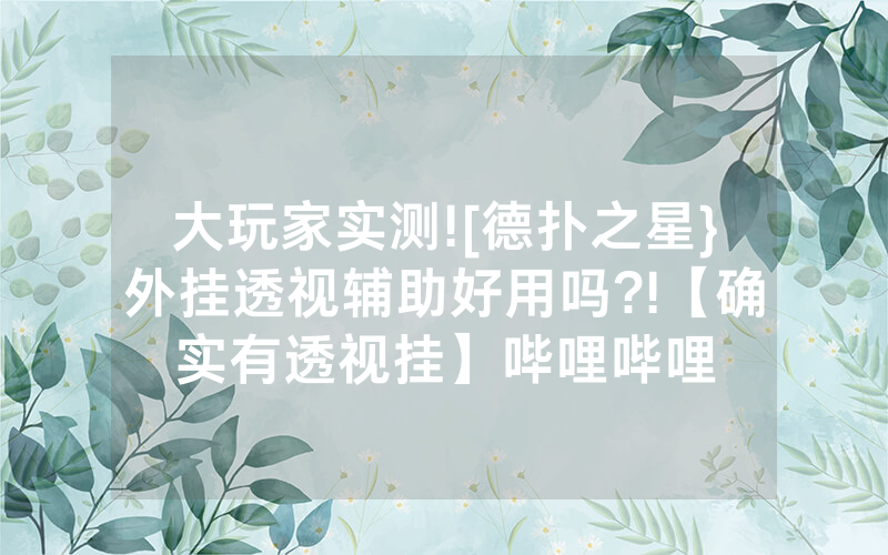 大玩家实测![德扑之星}外挂透视辅助好用吗?!【确实有透视挂】哔哩哔哩