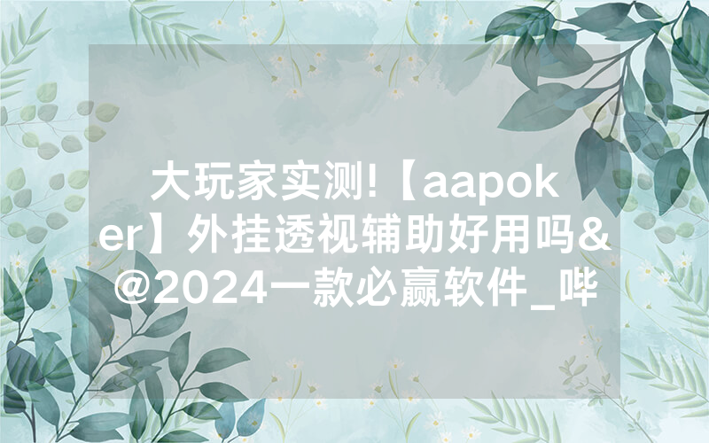 大玩家实测!【aapoker】外挂透视辅助好用吗&@2024一款必赢软件_哔哩哔哩