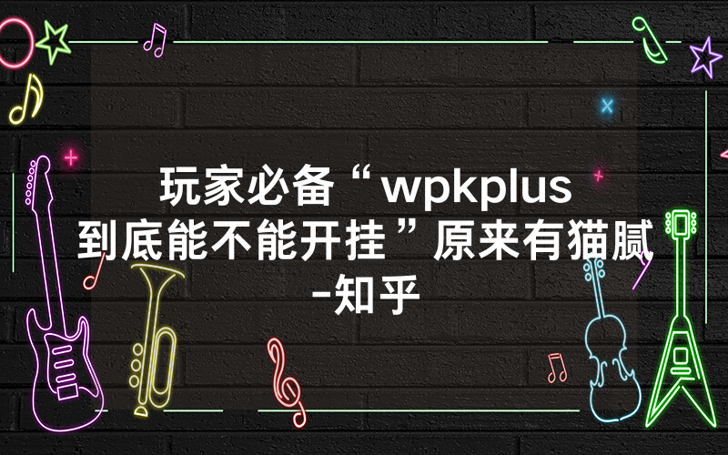 玩家必备“wpkplus到底能不能开挂”原来有猫腻-知乎