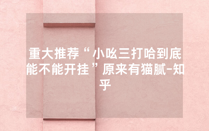 重大推荐“小吆三打哈到底能不能开挂”原来有猫腻-知乎