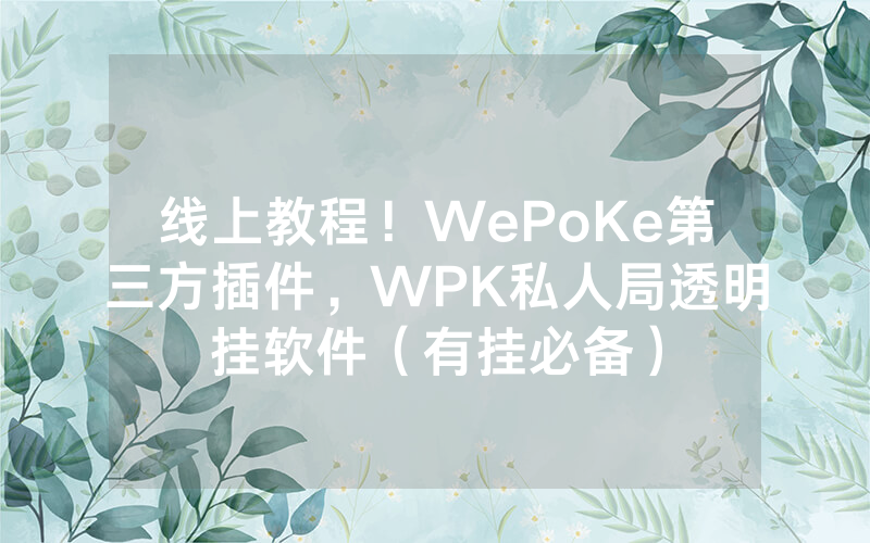 线上教程！WePoKe第三方插件，WPK私人局透明挂软件（有挂必备）