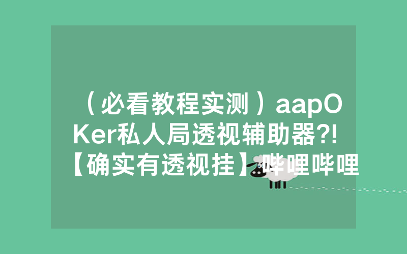 （必看教程实测）aapOKer私人局透视辅助器?!【确实有透视挂】哔哩哔哩