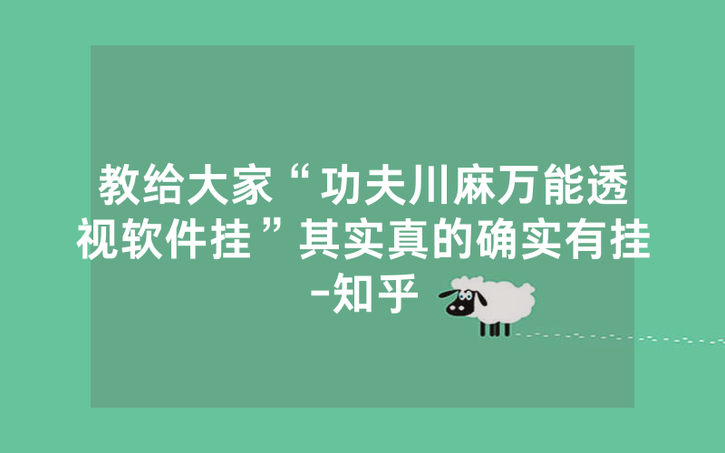 教给大家“功夫川麻万能透视软件挂”其实真的确实有挂-知乎