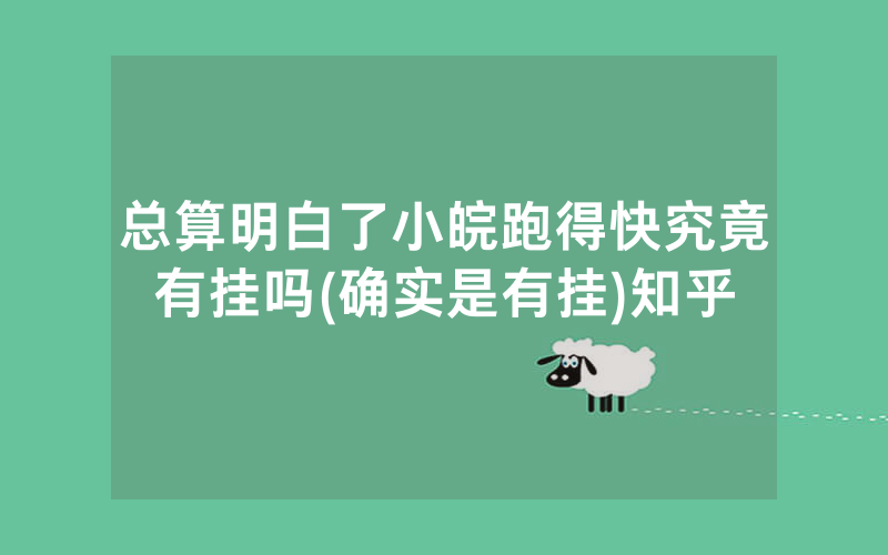 总算明白了小皖跑得快究竟有挂吗(确实是有挂)知乎