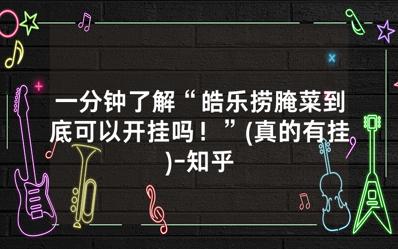 一分钟了解“皓乐捞腌菜到底可以开挂吗！”(真的有挂)-知乎