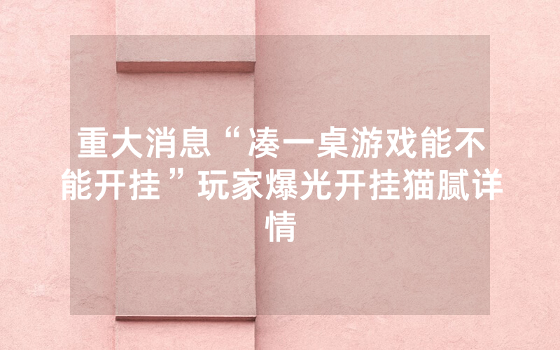 重大消息“凑一桌游戏能不能开挂”玩家爆光开挂猫腻详情