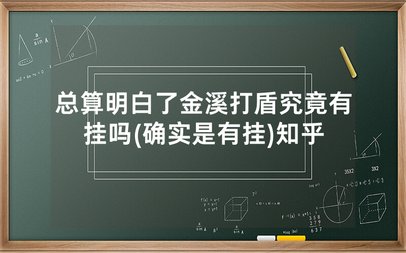 总算明白了金溪打盾究竟有挂吗(确实是有挂)知乎