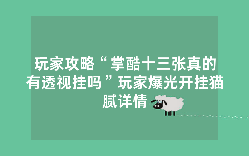 玩家攻略“掌酷十三张真的有透视挂吗”玩家爆光开挂猫腻详情