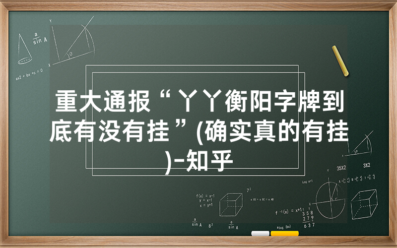 重大通报“丫丫衡阳字牌到底有没有挂”(确实真的有挂)-知乎