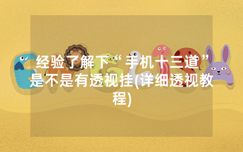 经验了解下“手机十三道”是不是有透视挂(详细透视教程)