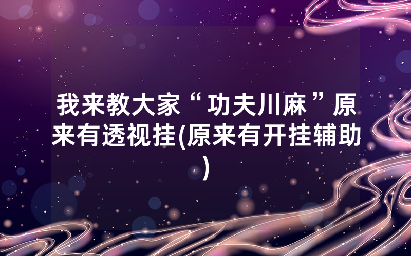 我来教大家“功夫川麻”原来有透视挂(原来有开挂辅助)