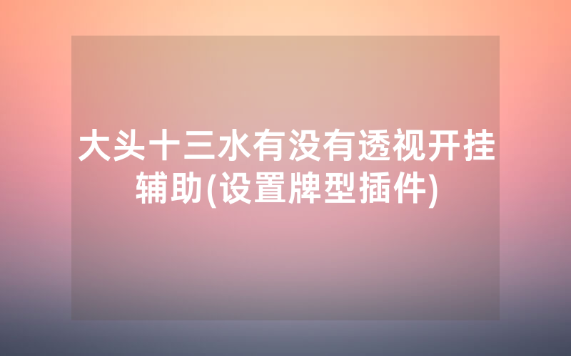大头十三水有没有透视开挂辅助(设置牌型插件)