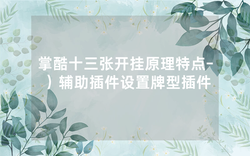 掌酷十三张开挂原理特点-）辅助插件设置牌型插件