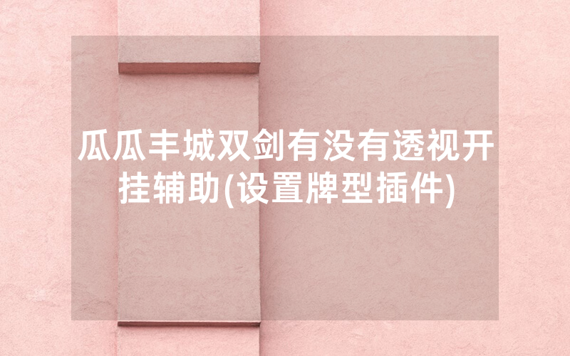 瓜瓜丰城双剑有没有透视开挂辅助(设置牌型插件)