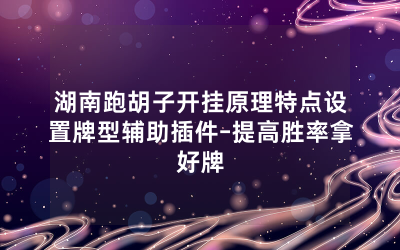 湖南跑胡子开挂原理特点设置牌型辅助插件-提高胜率拿好牌