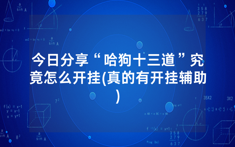 今日分享“哈狗十三道”究竟怎么开挂(真的有开挂辅助)