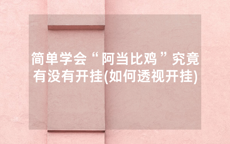 简单学会“阿当比鸡”究竟有没有开挂(如何透视开挂)