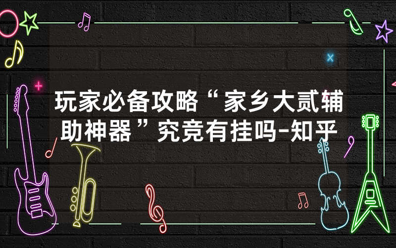 玩家必备攻略“家乡大贰辅助神器”究竞有挂吗-知乎