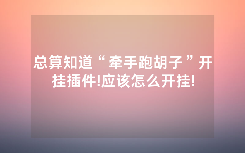 总算知道“牵手跑胡子”开挂插件!应该怎么开挂!