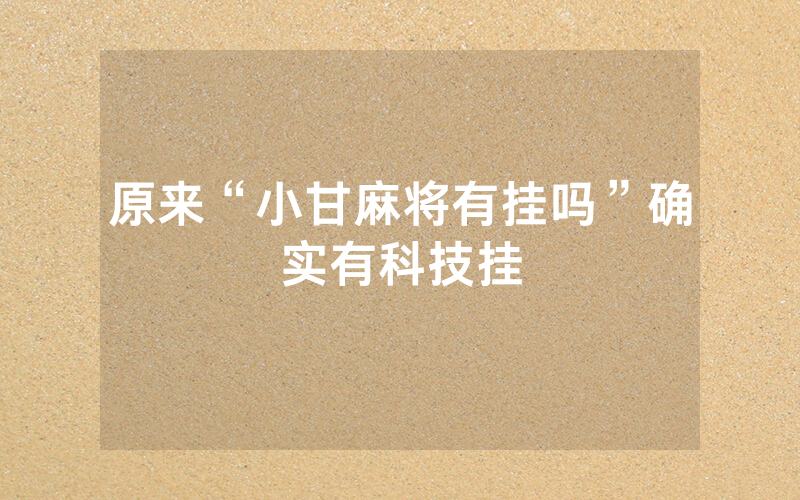 原来“小甘麻将有挂吗”确实有科技挂