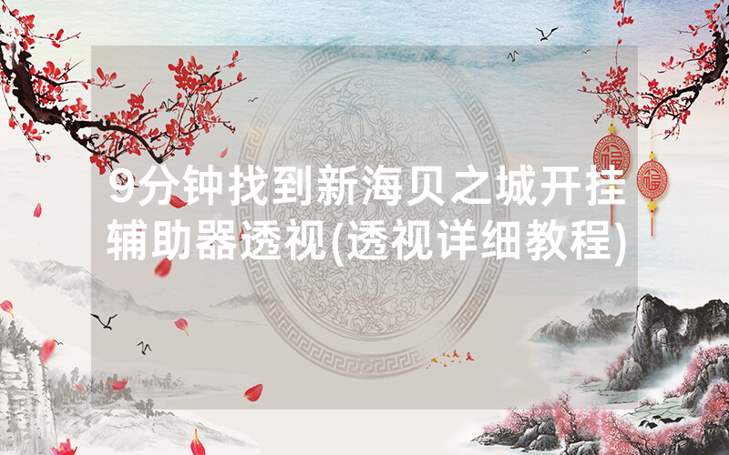 9分钟找到新海贝之城开挂辅助器透视(透视详细教程)