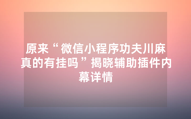 原来“微信小程序功夫川麻真的有挂吗”揭晓辅助插件内幕详情