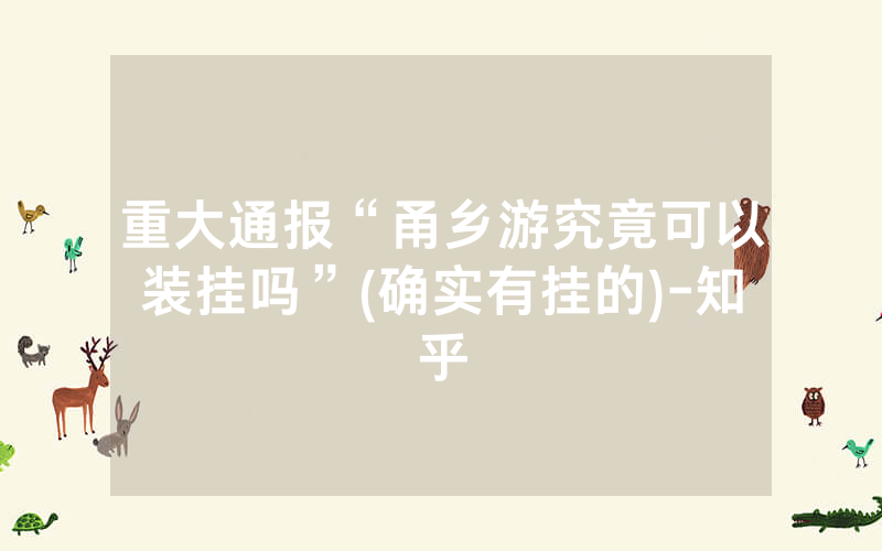 重大通报“甬乡游究竟可以装挂吗”(确实有挂的)-知乎