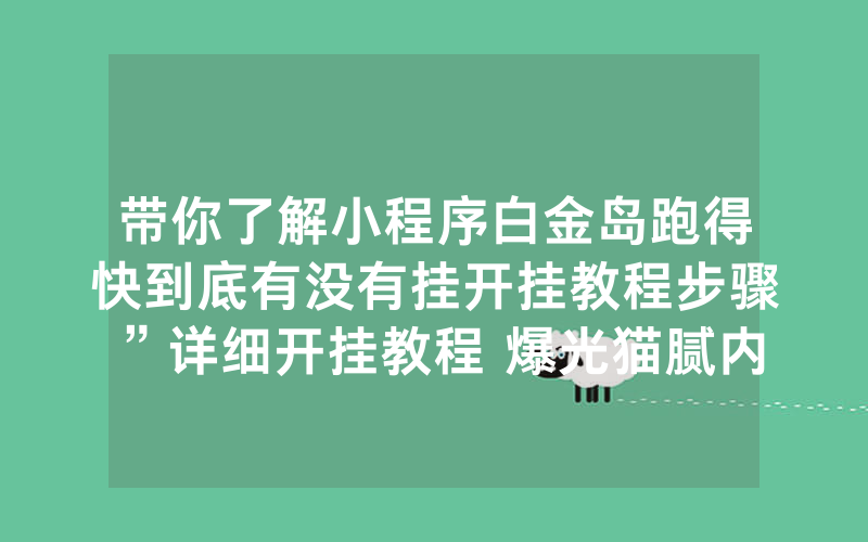 带你了解小程序白金岛跑得快到底有没有挂开挂教程步骤”详细开挂教程 爆光猫腻内幕!