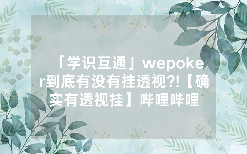 「学识互通」wepoker到底有没有挂透视?!【确实有透视挂】哔哩哔哩