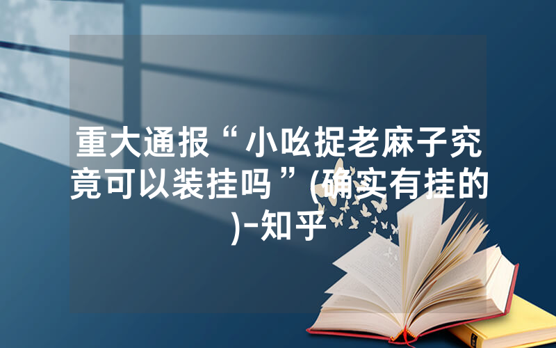 重大通报“小吆捉老麻子究竟可以装挂吗”(确实有挂的)-知乎