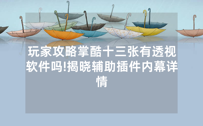 玩家攻略掌酷十三张有透视软件吗!揭晓辅助插件内幕详情