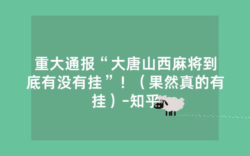 重大通报“大唐山西麻将到底有没有挂”！（果然真的有挂）-知乎
