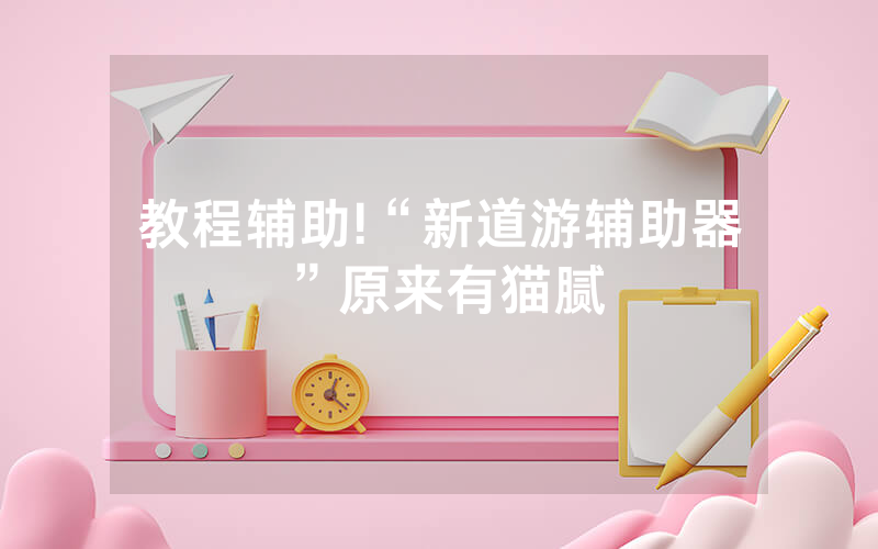 教程辅助!“新道游辅助器”原来有猫腻
