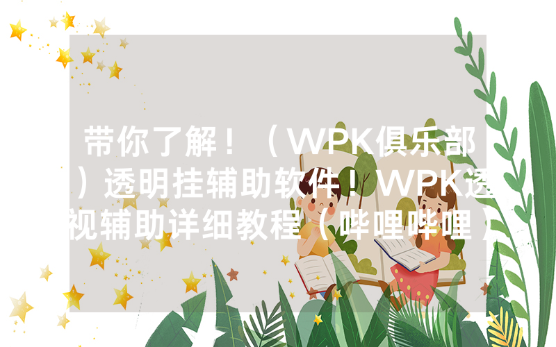 带你了解！（WPK俱乐部）透明挂辅助软件！WPK透视辅助详细教程（哔哩哔哩）
