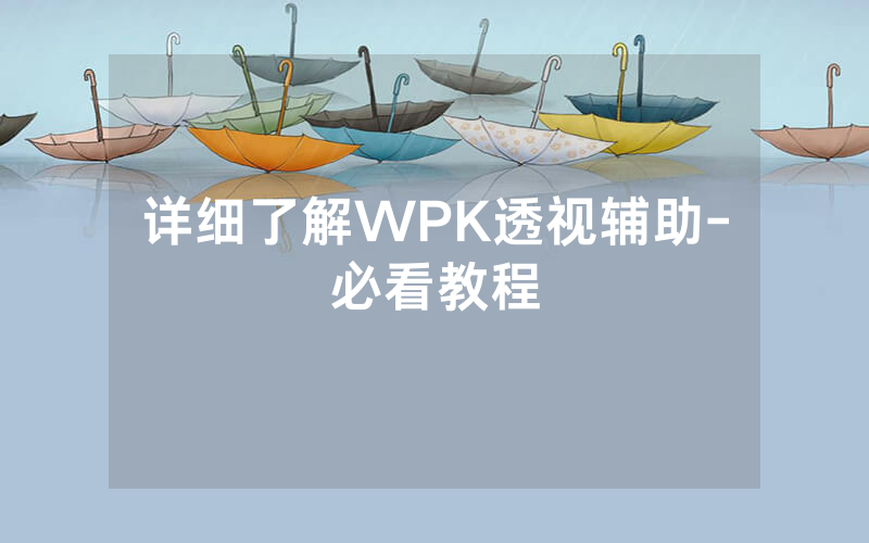 详细了解WPK透视辅助-必看教程