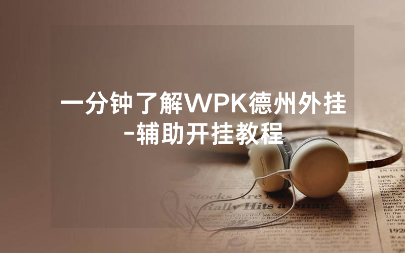 一分钟了解WPK德州外挂-辅助开挂教程