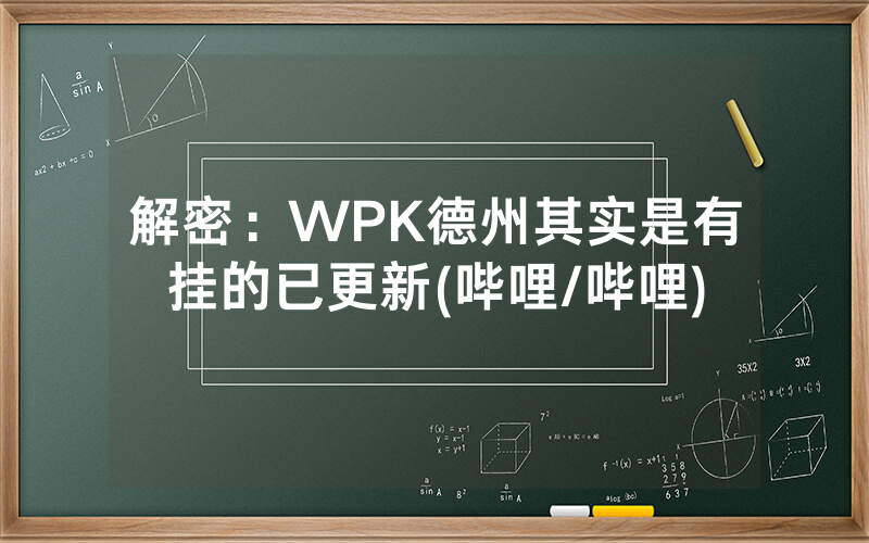 解密：WPK德州其实是有挂的已更新(哔哩/哔哩)