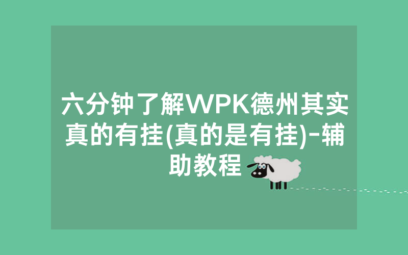 六分钟了解WPK德州其实真的有挂(真的是有挂)-辅助教程